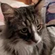mcmdev's avatar